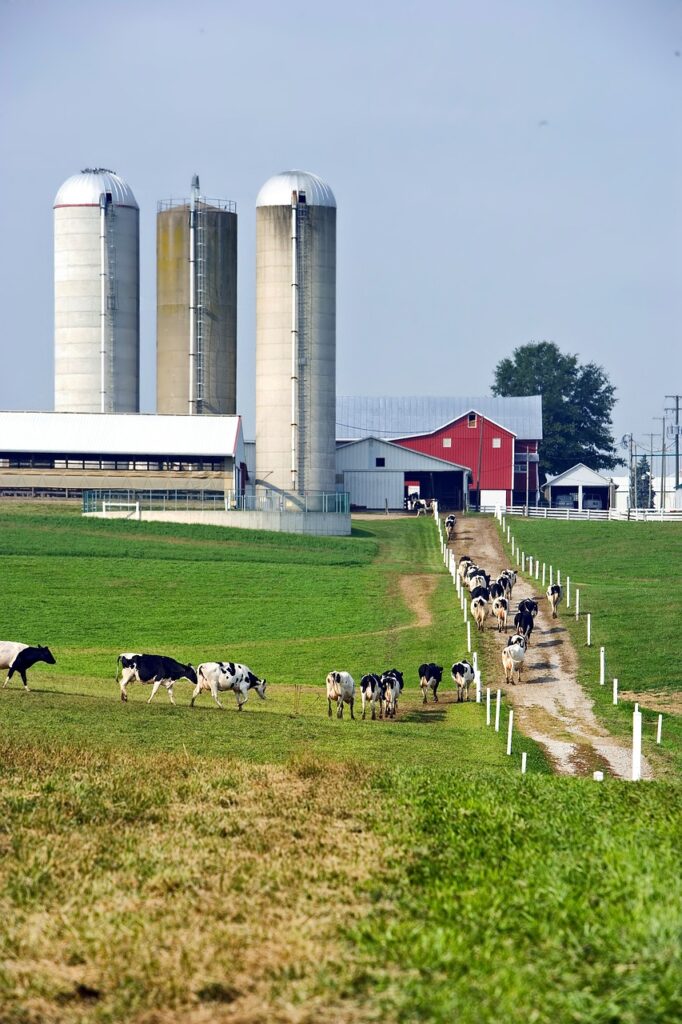 ohio, farm, rural, sky, clouds, fields, landscape, scenic, countryside, nature, outside, summer, silos, house, barn, cattle, cows, dairy